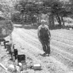 FORT KENT, Maine – May 12, 2023 – Fort Kent father of four still gardens – As Father’s Day nears, Norman Babin of Fort Kent works in his garden at his home on Route 11. Babin grows cucumbers, lettuce, onions, beets, string beans, corn, tomatoes, and strawberries in the summer. He has gardened for about 38 years. File 2013